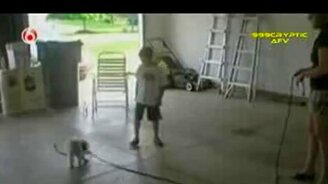 Видео приколы для всей семьи - смотреть видео (7:55)