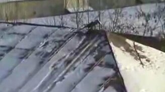 Ворона сноубордист - смотреть видео (1:24)