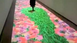 Удивительный пол - смотреть видео (0:26)