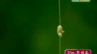 Самое меткое попадание - смотреть видео (1:56)