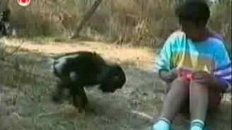 Очень смешное семейное видео - смотреть видео (10:00)