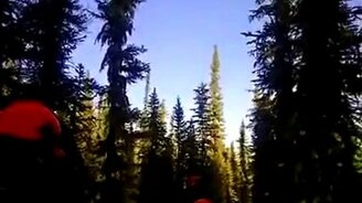 Страшно в лесу? - смотреть видео (1:18)