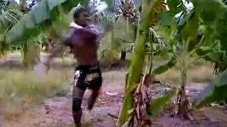 Дерево зачем сломал? - смотреть видео (0:43)