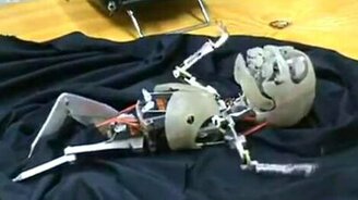 Найден сын Терминатора! - смотреть видео (0:33)