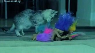 Котёнок против троллей - смотреть видео (0:55)