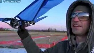 Это птица, и она летает - смотреть видео (2:04)