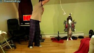 Кошак в замедлении - смотреть видео (1:15)