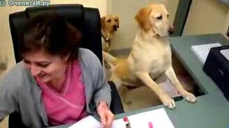 Офисный помощник - смотреть видео (0:45)