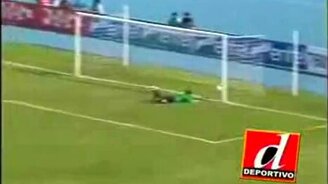 Изумительный гол - смотреть видео (0:23)