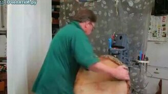 Торшер из деревянного пня - смотреть видео (3:09)