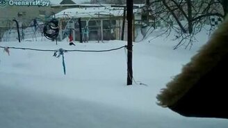 Чёрный кот и белый снег - смотреть видео (1:08)