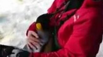 Любвеобильный пингвин - смотреть видео (0:24)