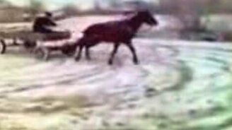 Дрифт на телеге - смотреть видео (0:36)