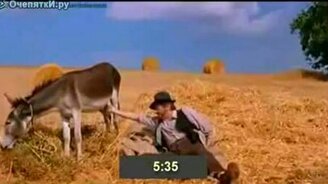 Как узнать время по ослиным яйцам - смотреть видео (1:04)