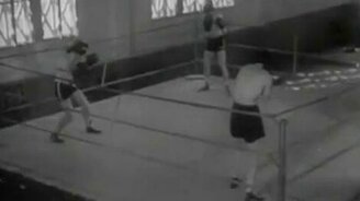 Игривый бокс - смотреть видео (0:48)