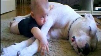 Дружба малыша и пёсика - смотреть видео (1:18)