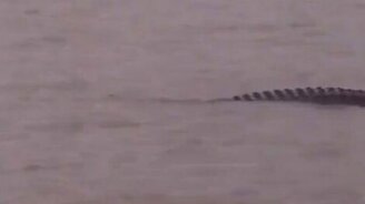 Внезапно на рыбалке - смотреть видео (1:04)