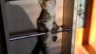 Восхождение по лесенке - смотреть видео (0:12)