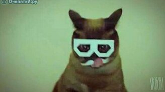 Дабстеп кота-хипстера - смотреть видео (0:36)