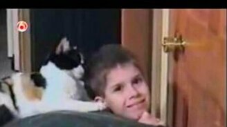 Прикольные кошки - смотреть видео (7:43)