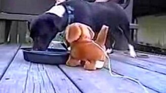 Игрушечный соперник - смотреть видео (0:14)