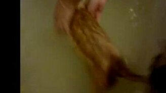 Кот спасает друга из беды - смотреть видео (0:56)