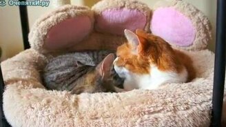 Я сам! - смотреть видео (0:27)