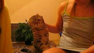 Вот как надо требовать ласки - смотреть видео (0:51)