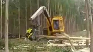 Лесоповал по-японски - смотреть видео (0:53)