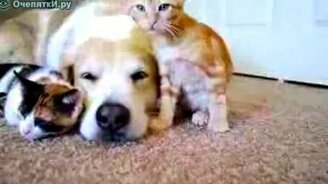 Блаженство втроём - смотреть видео (1:00)