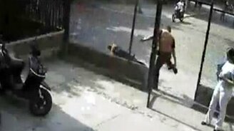 Врезался в стекло - смотреть видео (0:35)