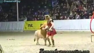 Пони-лев в цирке - смотреть видео (3:33)