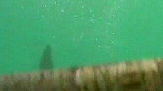 Испытание атаки акулы на себе - смотреть видео (0:44)