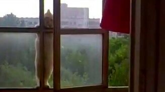 Миссия на высоте выполнима - смотреть видео (0:40)