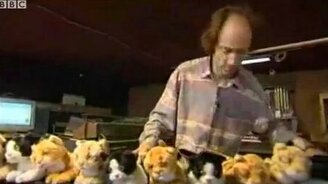 Играем на кошках - смотреть видео (1:54)