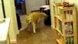 Домашний уборщик - смотреть видео (0:47)