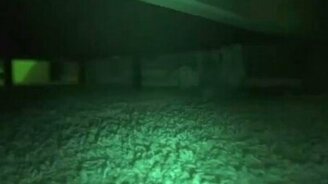 Кот-паук в ночи - смотреть видео (1:08)