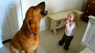 Дуэт - малыш и собака - смотреть видео (0:25)