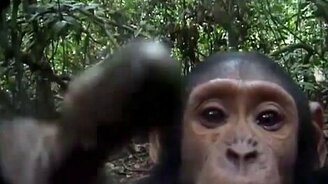 Это ещё что за объект? - смотреть видео (1:16)