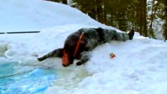 Жёсткий прыжок с трамплина - смотреть видео (0:17)