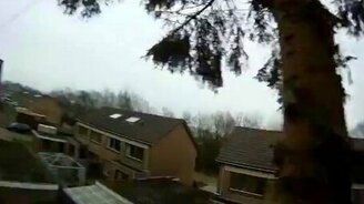 Не туда упало дерево - смотреть видео (0:28)