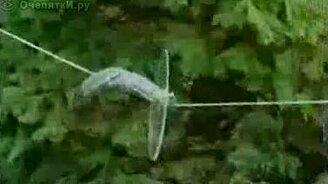 Ловкая белка - смотреть видео (0:49)