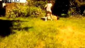 Пёс нарушил все планы - смотреть видео (0:23)