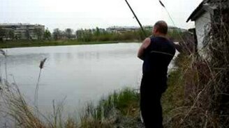 Кот-перехватчик - смотреть видео (0:08)