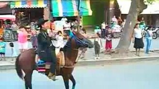 Коня не устроил всадник - смотреть видео (0:40)