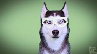 Дабстеп лайка - смотреть видео (0:24)