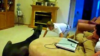 Игра с деликатным гигантом - смотреть видео (1:21)