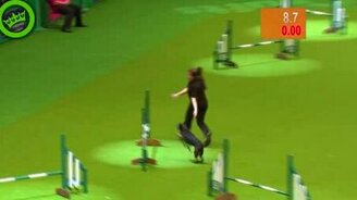 Ну стало невтерпёж! - смотреть видео (1:15)