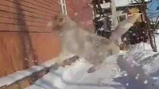 Подорвался на снегу - смотреть видео (0:11)