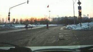 Пёс идёт через дорогу - смотреть видео (0:26)